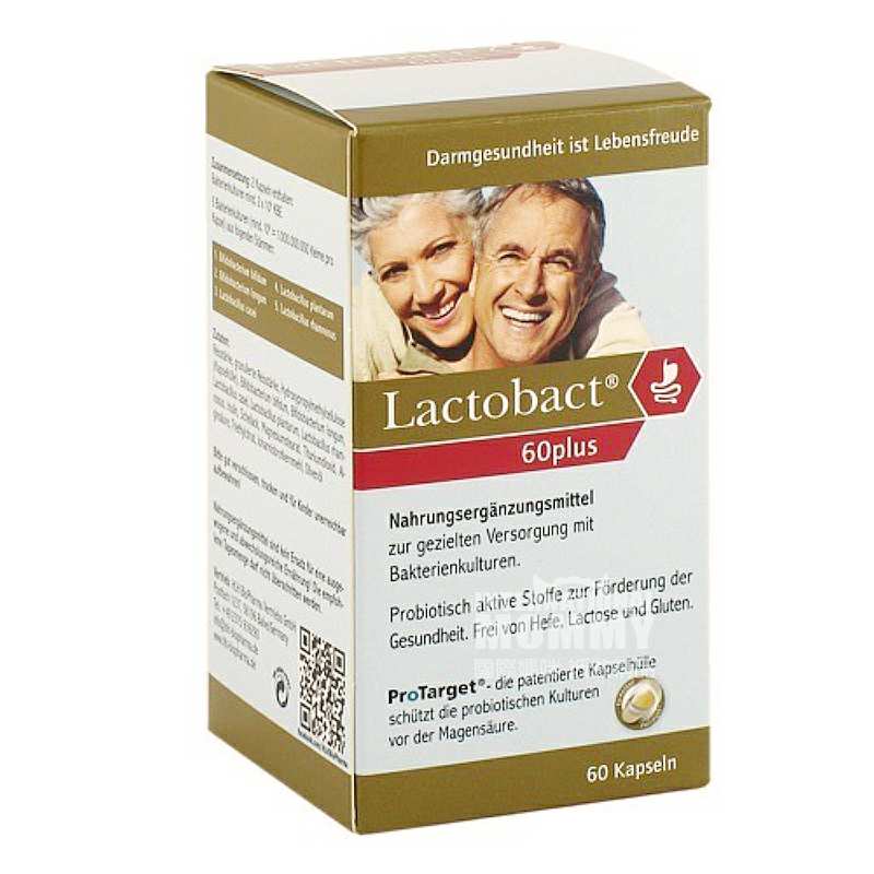 Lactobact ¹LactobactлŨ Ȿԭ