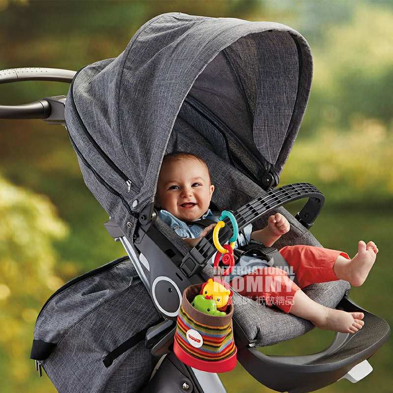 Fisher Price ѩĶ Ȿԭ