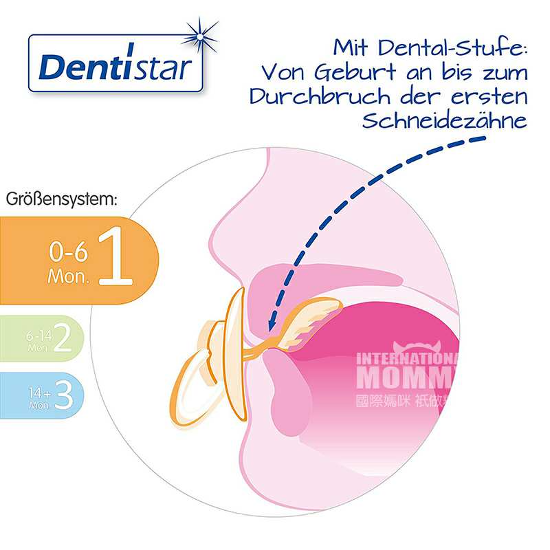 Dentistar ¹Dentistarλݰ 0-6 Ȿԭ