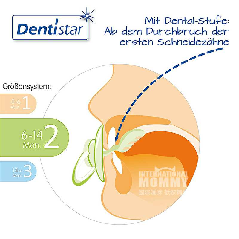 Dentistar ¹Dentistarɫϵл齺 6-14 Ȿԭ
