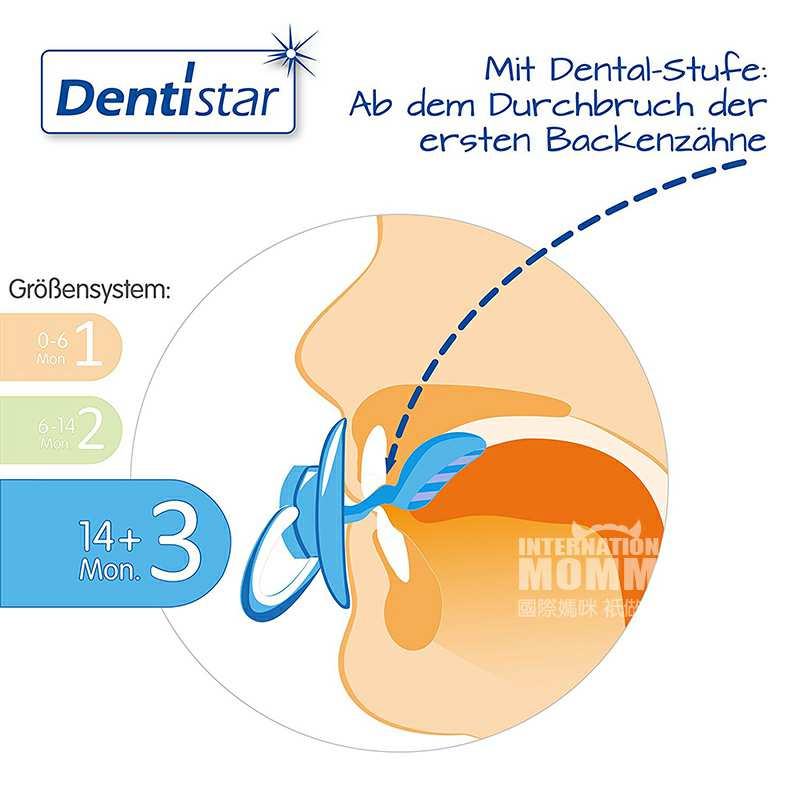 Dentistar ¹Dentistar齺 14 Ȿԭ