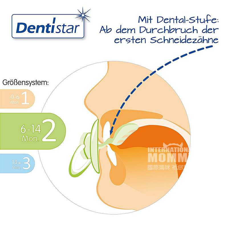 Dentistar ¹Dentistarĸݰ 6-14 Ȿԭ