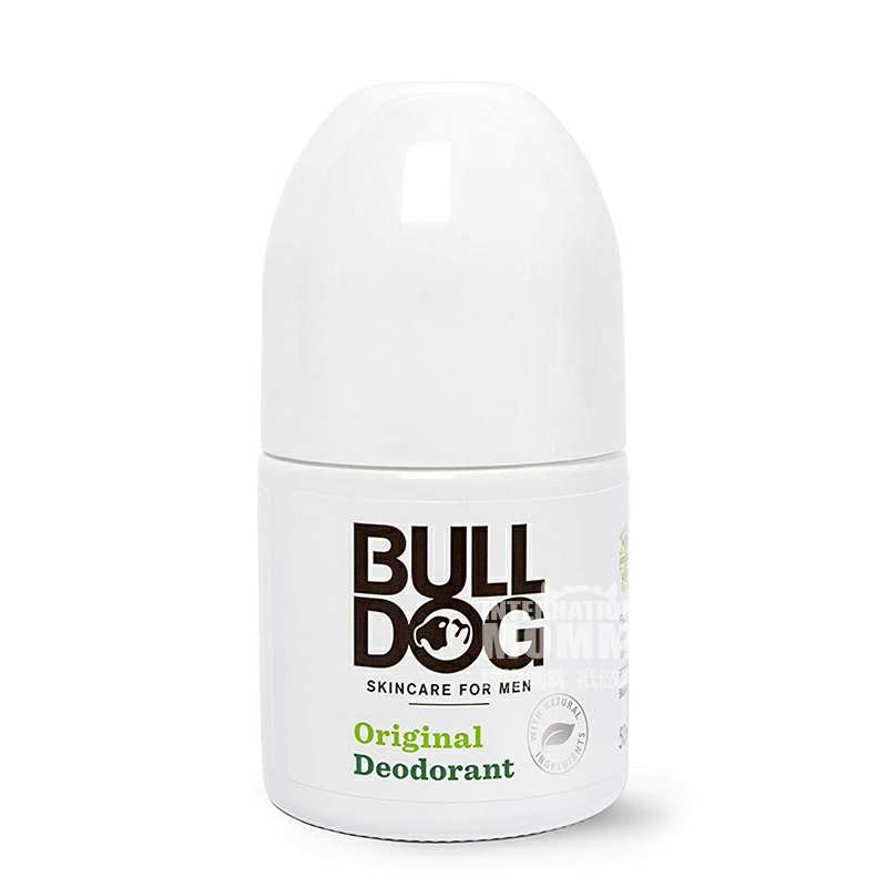 BULL DOG ӢţȮʿζֹ Ȿԭ