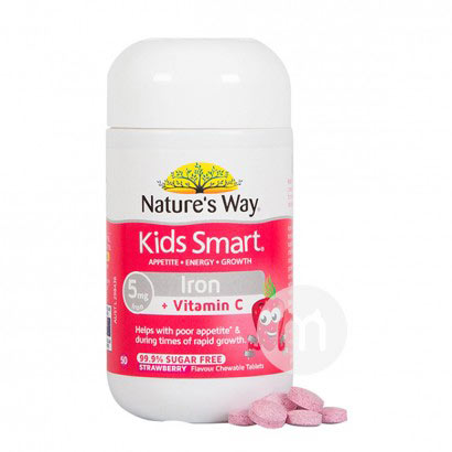 2װNature`s Way ޼˼ͯƬVD50+ƶѪάC׽Ƭݮζ50Ƭ Ȿԭ