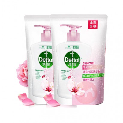 Dettol ¶󱶻ϴҺװ 450g*2