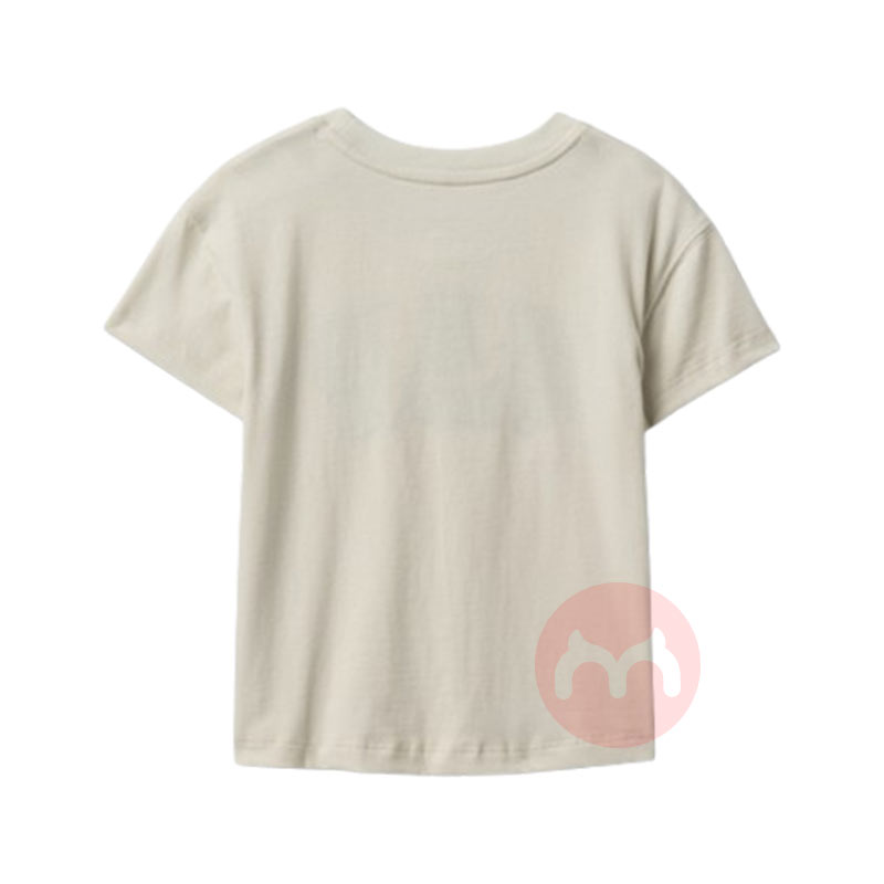 GAP 豱ӣT Ȿԭ
