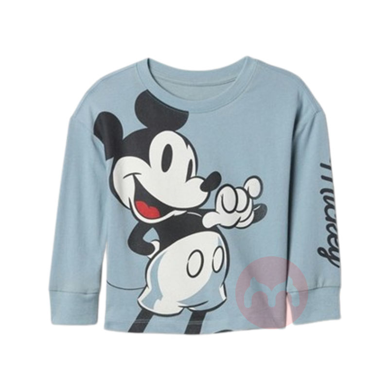 GAP 豱ʿͼT Ȿԭ