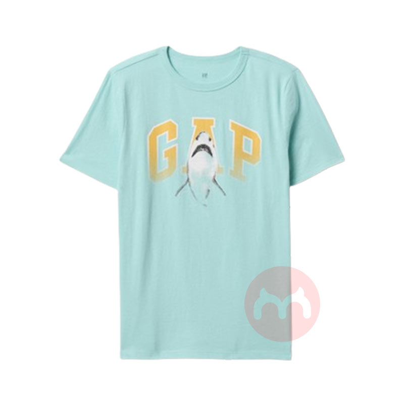 GAP 豶ͯԲͼT Ȿԭ