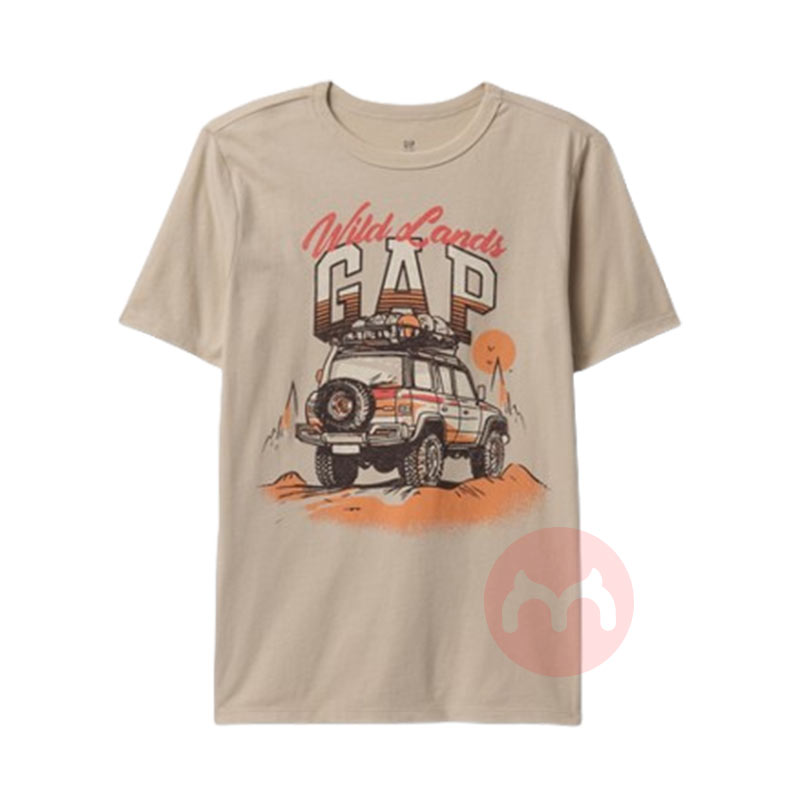 GAP 豶ͯͼT Ȿԭ