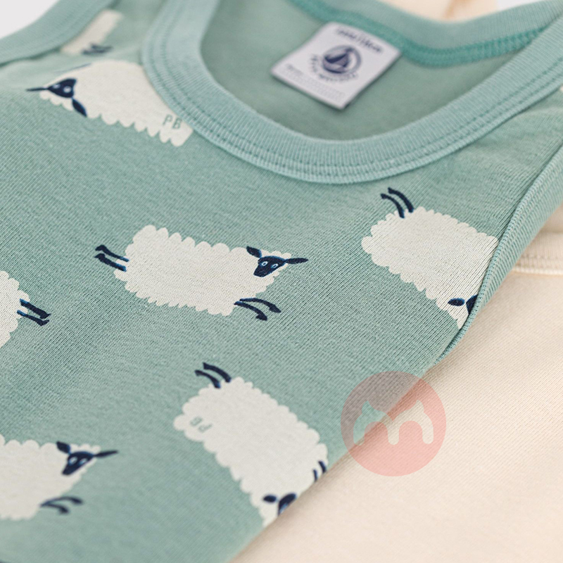 PETIT BATEAU СͯͯС2װ Ȿԭ