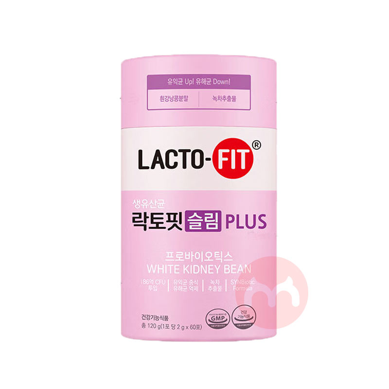LACTO-FIT 韩国钟根堂乐多飞享轻活菌型益生菌固体饮料芒果味 60条 海外本土原版