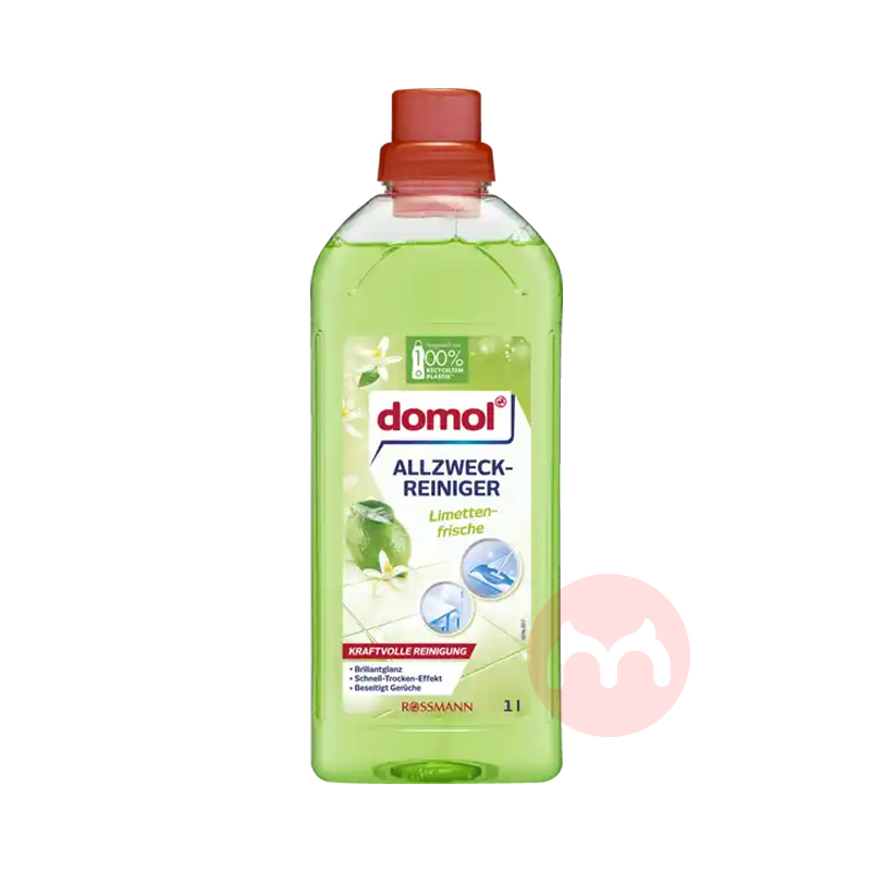 Domol ¹Domolζ; 1L Ȿԭ