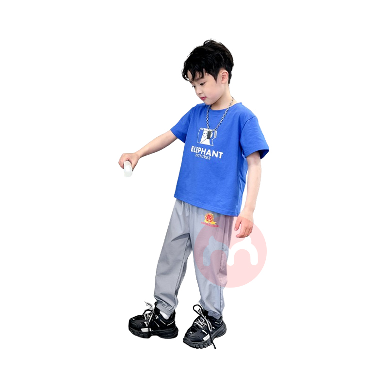 49.9ѡ3SHINING ELEPHANT ѤͯƷÿ ɫ