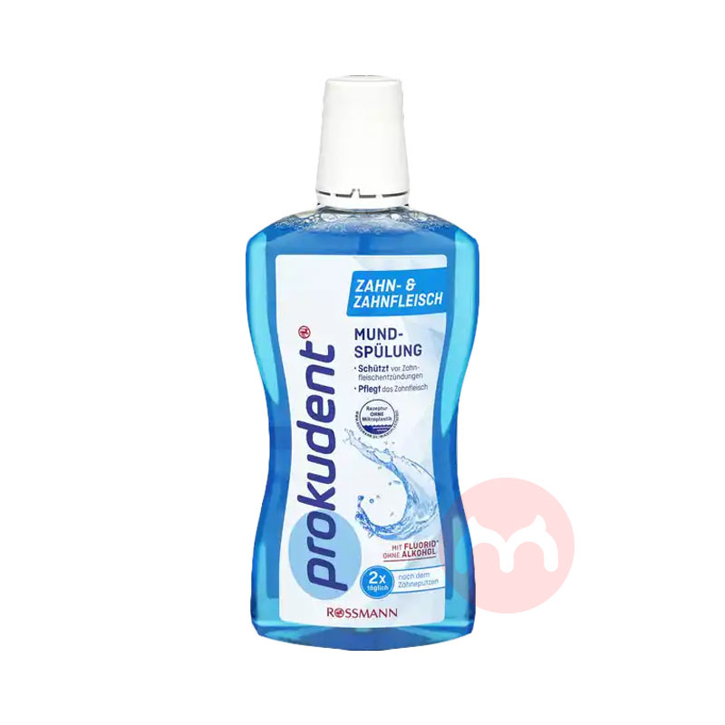 Prokudent ¹Prokudentˮ 500ml Ȿԭ