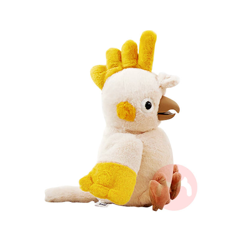 Babycare Ӥѧ˵