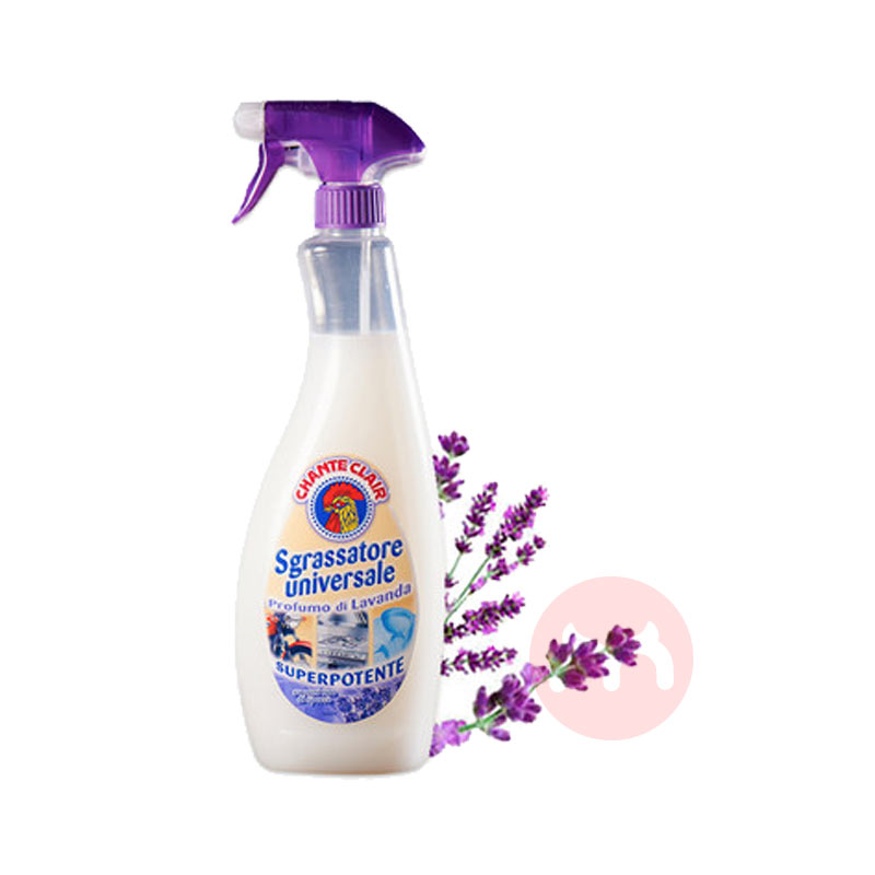 3ƿbCHANTECLAIR 󹫼ܼҶ۾ 600ml ޹²ζ Ȿԭ