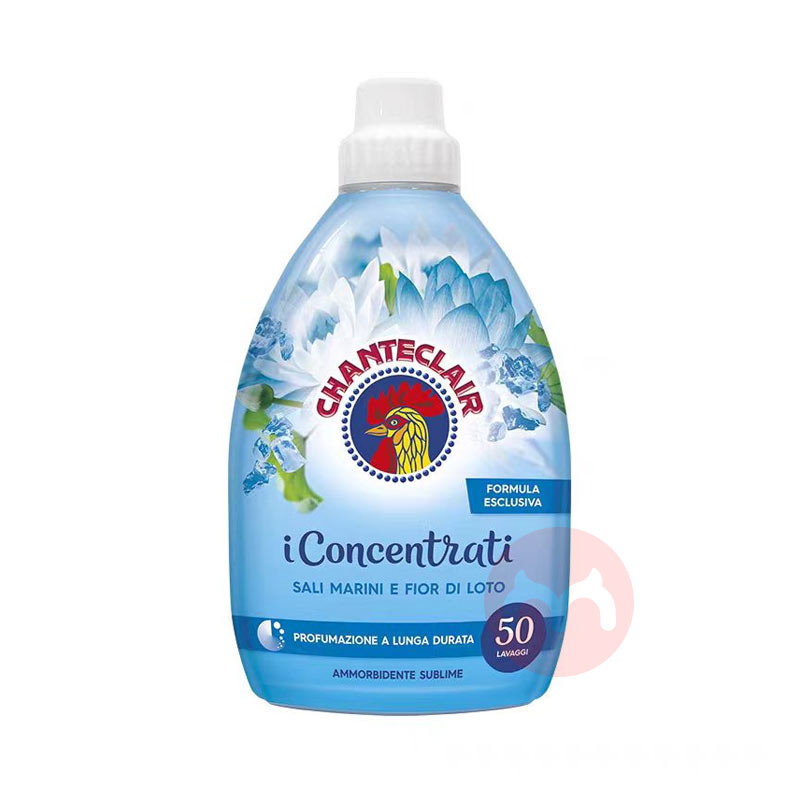 2ƿװCHANTECLAIR 󹫼ܼ˳ ɫ 1000ml Ȿԭ