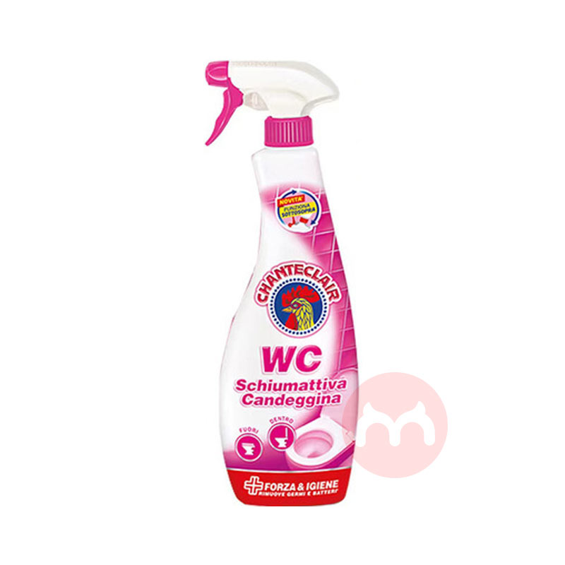 2ƿװCHANTECLAIR 󹫼ܼͰ Ư 625ml