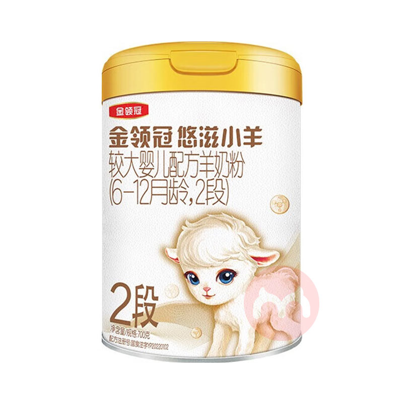 ʱɱСӤ׶䷽̷2 700g 6-12