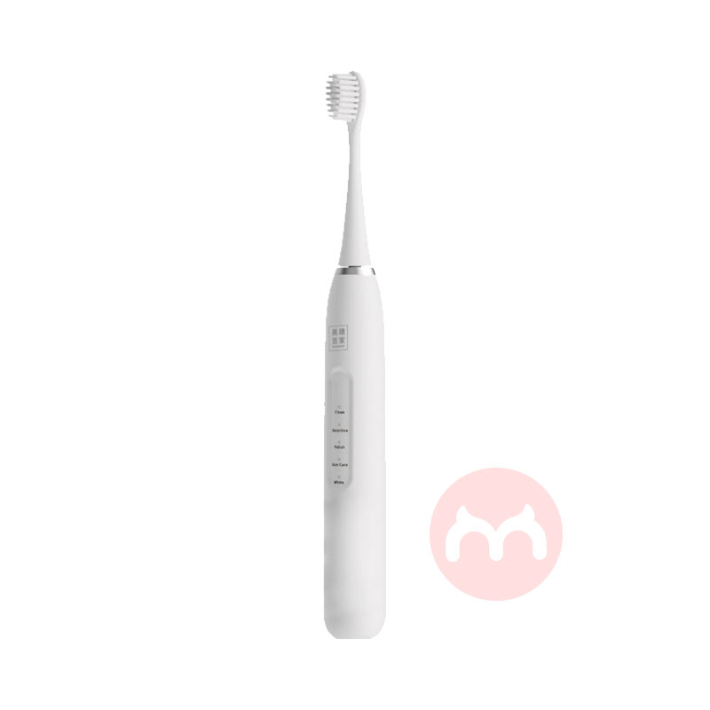 MIHOOCE ���뼪�ҳ��������綯��ˢ 3��ˢͷ B01