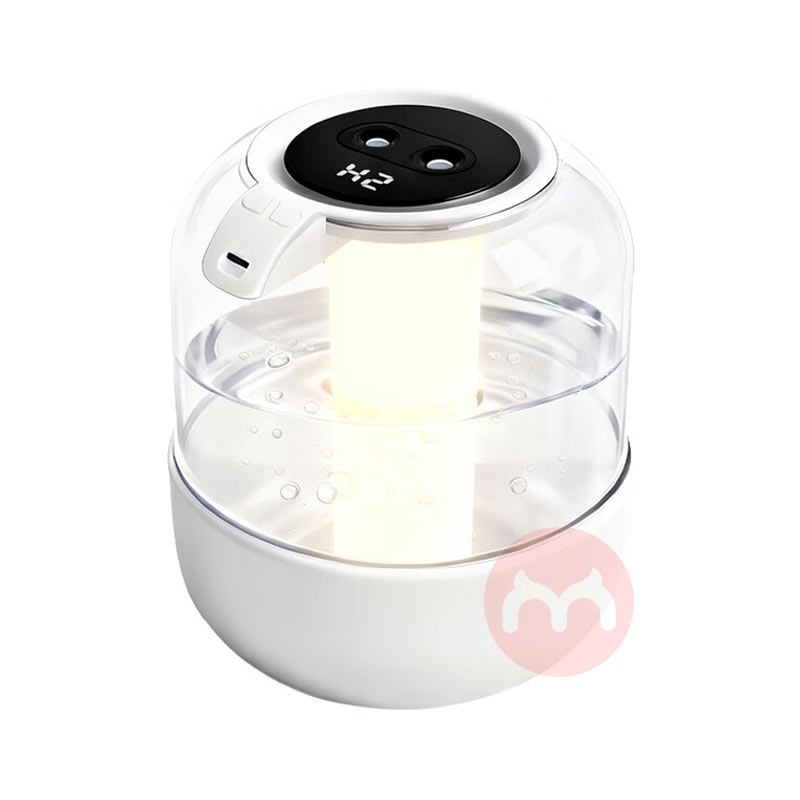 Litfish ����쳴����������ʪ�� J8