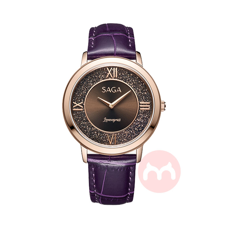 SAGA �����Ͼ��ɸ��� С��