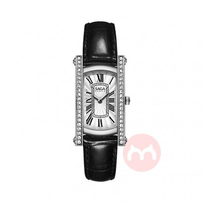 SAGA ���Ҹ��ž���С���� �����ɫ