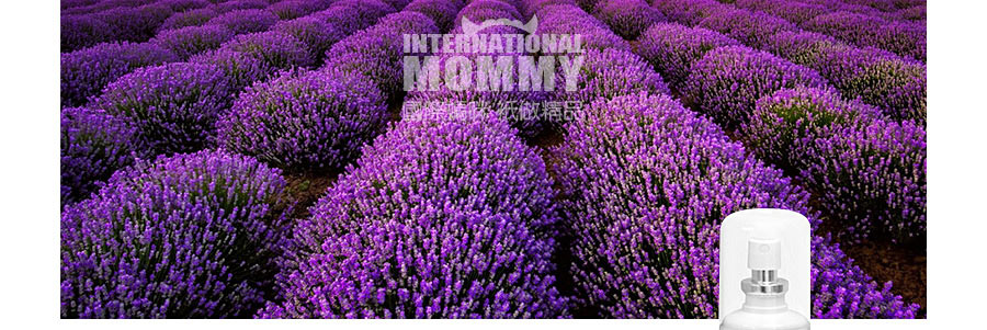 PEDIAKID ������Ͽ˷������� ���Ȿ��ԭ��