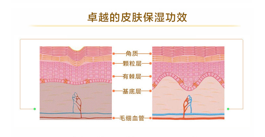 Royal Nectar ������Royal Nectar�ʼҷ䶾��˪ ���Ȿ��ԭ��