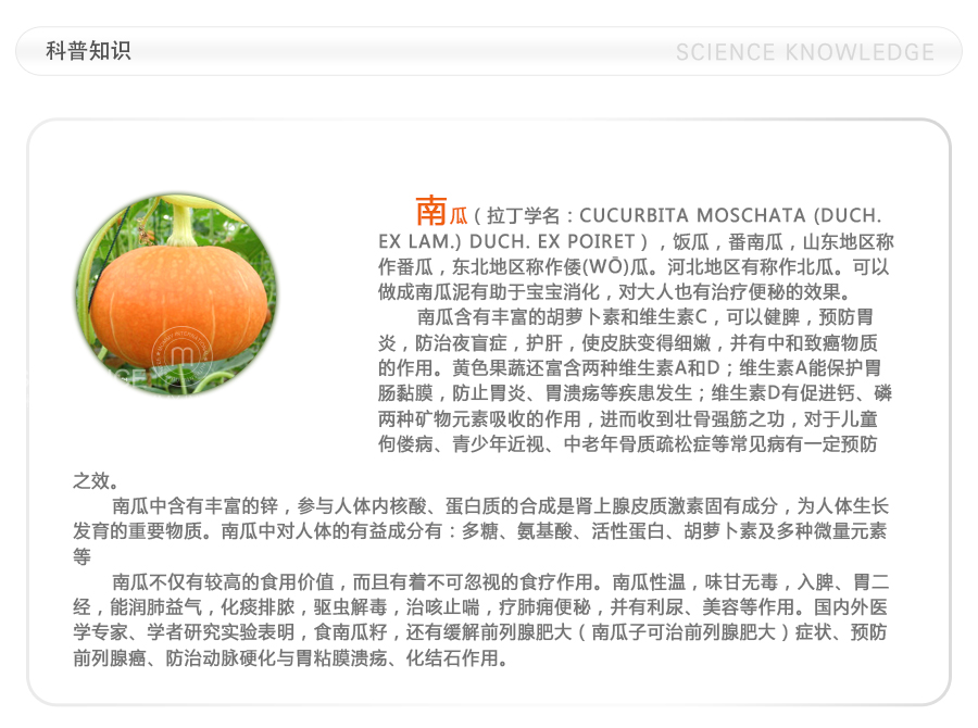 Hipp �¹�ϲ���л������Ϲ��� ���Ȿ��ԭ��