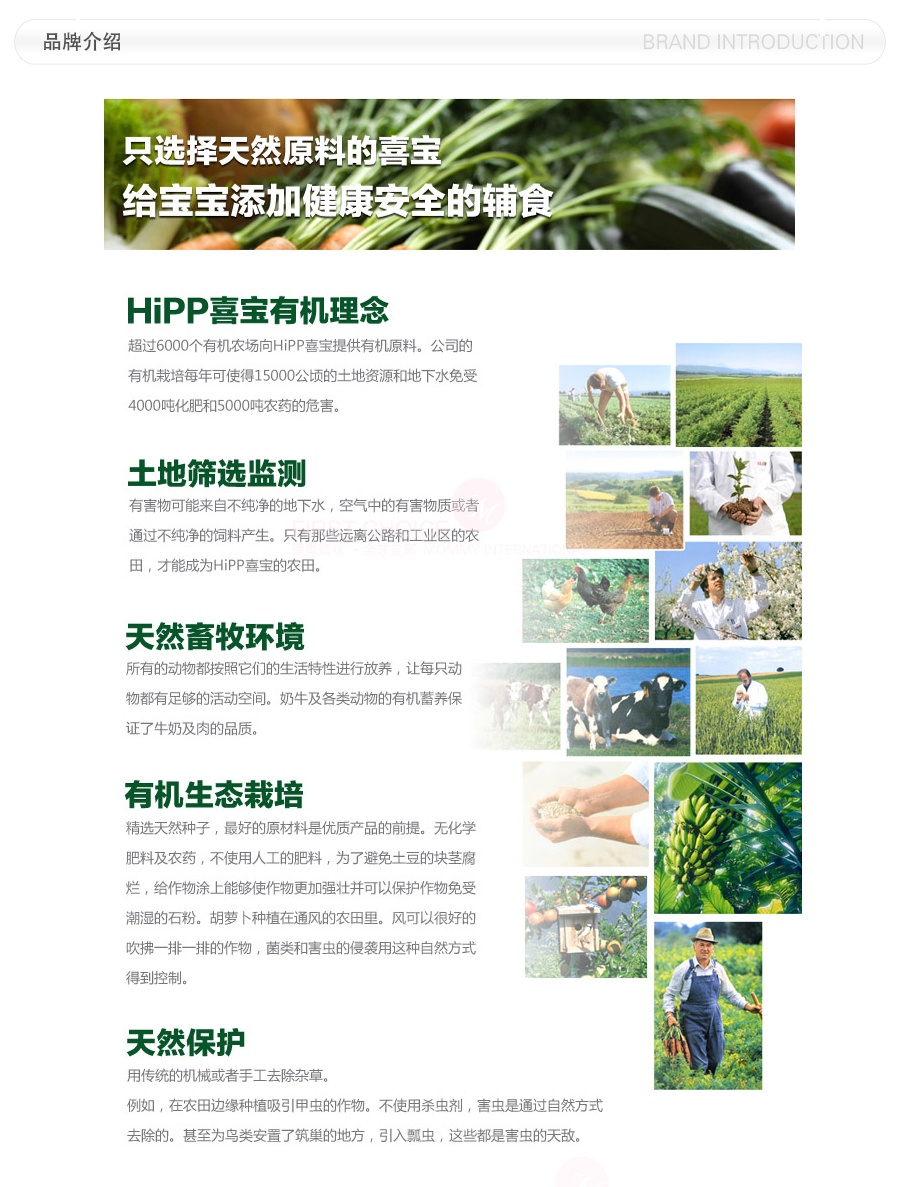 Hipp �¹�ϲ���л��������ܲ��� ���Ȿ��ԭ�棨4���Ż��ײͣ�