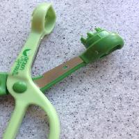 �ڱ�