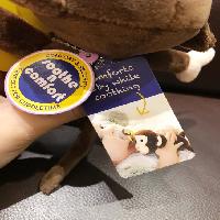 �ڱ�