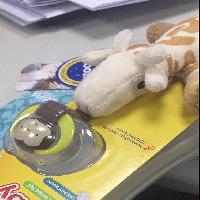 �ڱ�