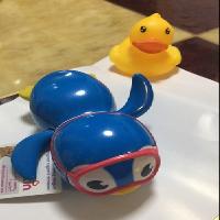 �ڱ�