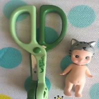 �ڱ�