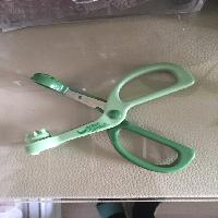 �ڱ�
