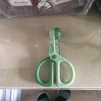 �ڱ�