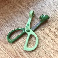 �ڱ�