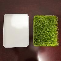 �ڱ�