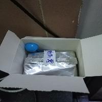 �ڱ�