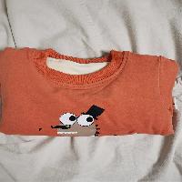 ڱ