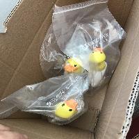 ڱ