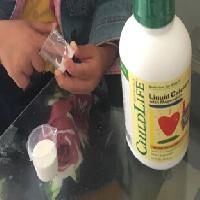 ڱ